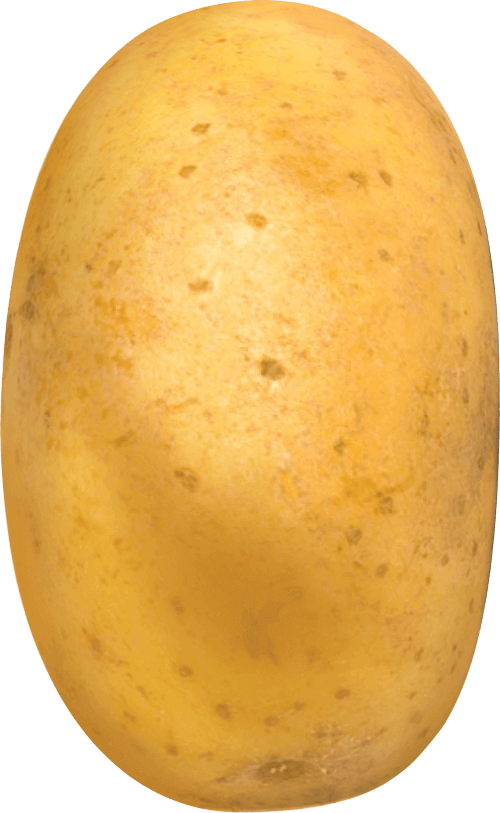 Potato